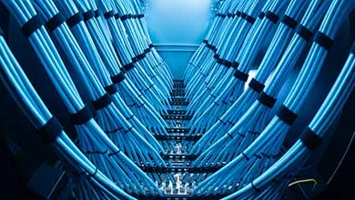 Neatly bundled blue Ethernet cables, secured with black ties, run in symmetrical rows toward network ports in a server rack, lit by cool blue overhead lights.