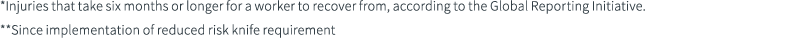 *Injuries that take six months or longer for a worker to recover from, according to the Global Reporting Initiative. ...